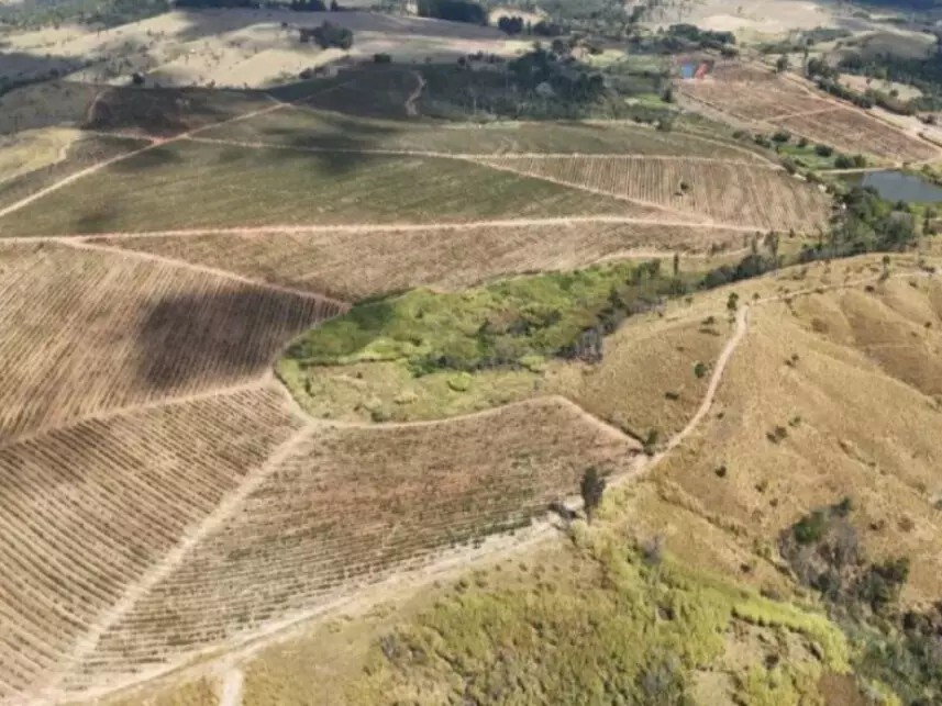 Imagem 3 - Rodovia Deputado Eduardo Vicente Nasser (Sp-350), Km 277, s/nº - Quinhão de Terras B-2-B - Sítio Santa Maria - São José do Rio Pardo / SP