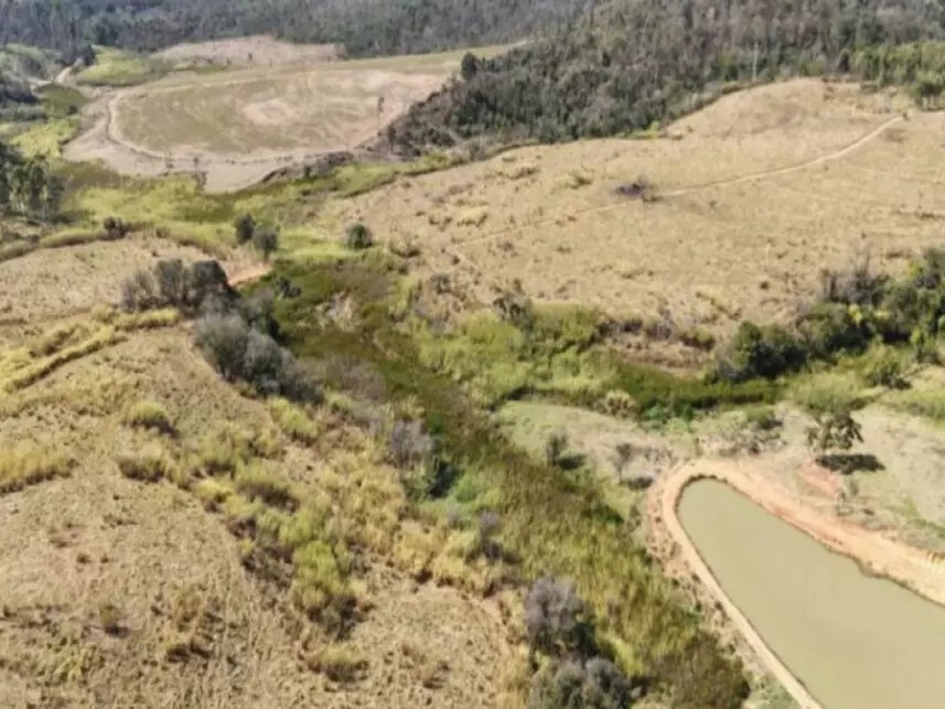 Imagem 6 - Rodovia Deputado Eduardo Vicente Nasser (Sp-350), Km 277, s/nº - Quinhão de Terras B-2-B - Sítio Santa Maria - São José do Rio Pardo / SP