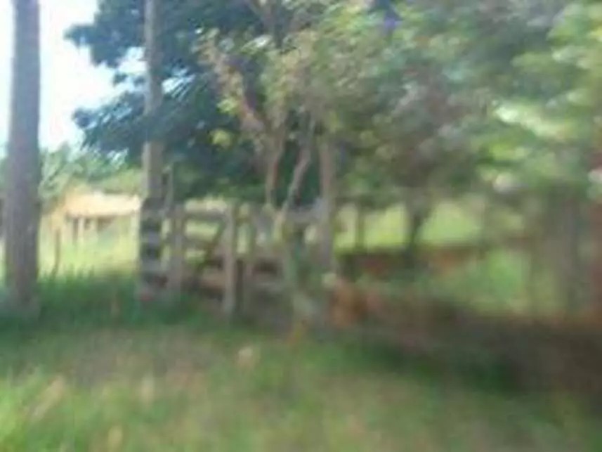 Imagem 9 - Rodovia Eliezer Montenegro Magalhães, s/n - Lote 19, Quadra 14 - Condomínio Copacabana Residencial Park - Araçatuba / SP