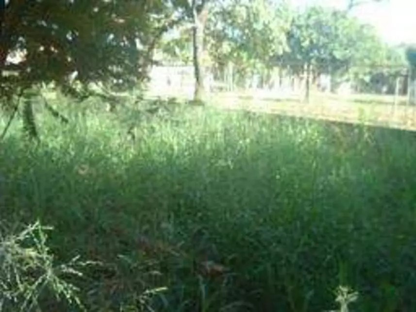 Imagem 29 - Rodovia Eliezer Montenegro Magalhães, s/n - Lote 19, Quadra 14 - Condomínio Copacabana Residencial Park - Araçatuba / SP