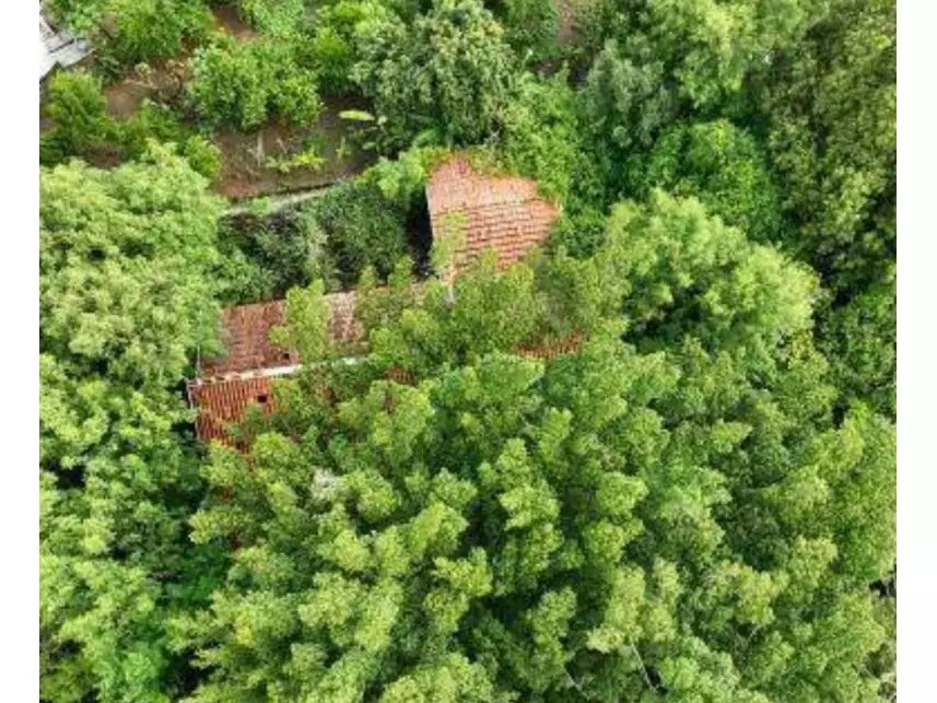 Imagem 3 - Rodovia Margarida da Graça Martins, 304 - Parque Santa Cecília - Piracicaba / SP