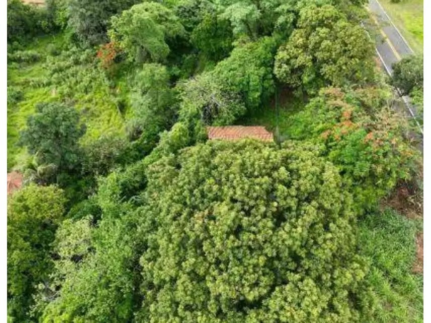 Imagem 5 - Rodovia Margarida da Graça Martins, 304 - Parque Santa Cecília - Piracicaba / SP