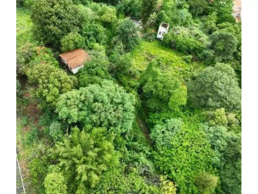 Imagem 4 - Rodovia Margarida da Graça Martins, S/n - Parque Santa Cecília - Piracicaba / SP