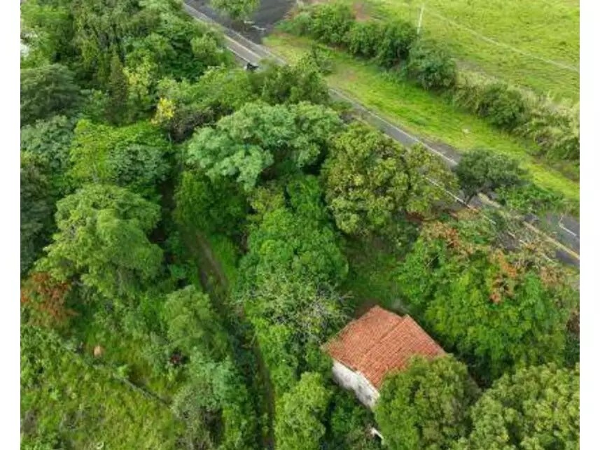 Imagem 5 - Rodovia Margarida da Graça Martins, S/n - Parque Santa Cecília - Piracicaba / SP