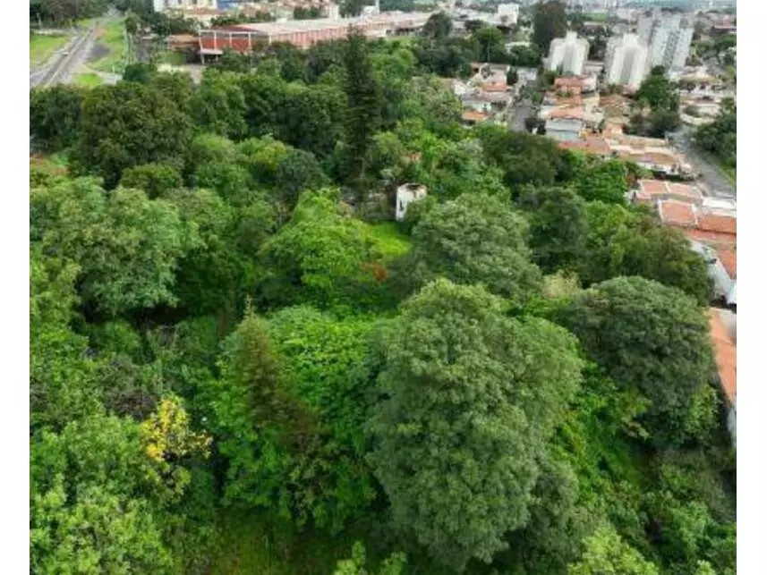 Imagem 6 - Rodovia Margarida da Graça Martins, S/n - Parque Santa Cecília - Piracicaba / SP