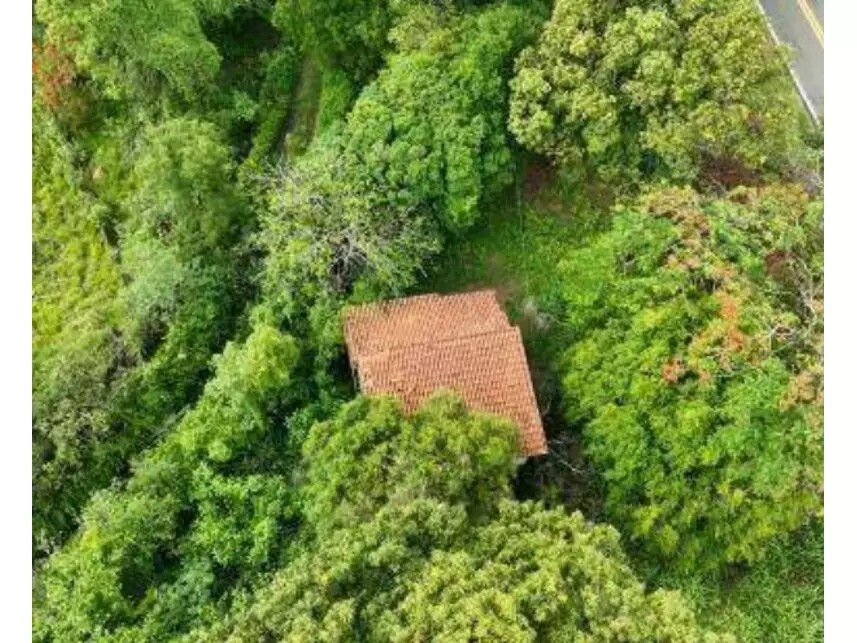 Imagem 7 - Rodovia Margarida da Graça Martins, S/n - Parque Santa Cecília - Piracicaba / SP