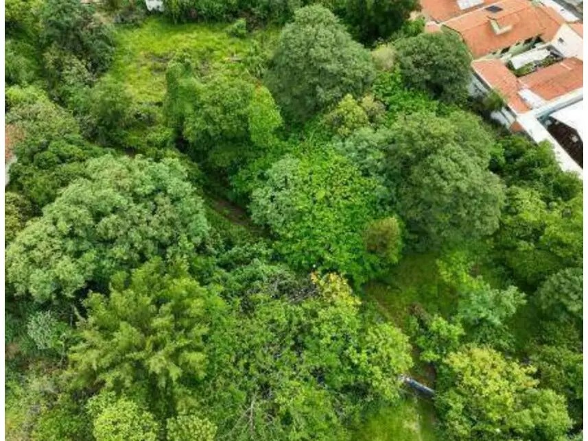 Imagem 10 - Rodovia Margarida da Graça Martins, S/n - Parque Santa Cecília - Piracicaba / SP