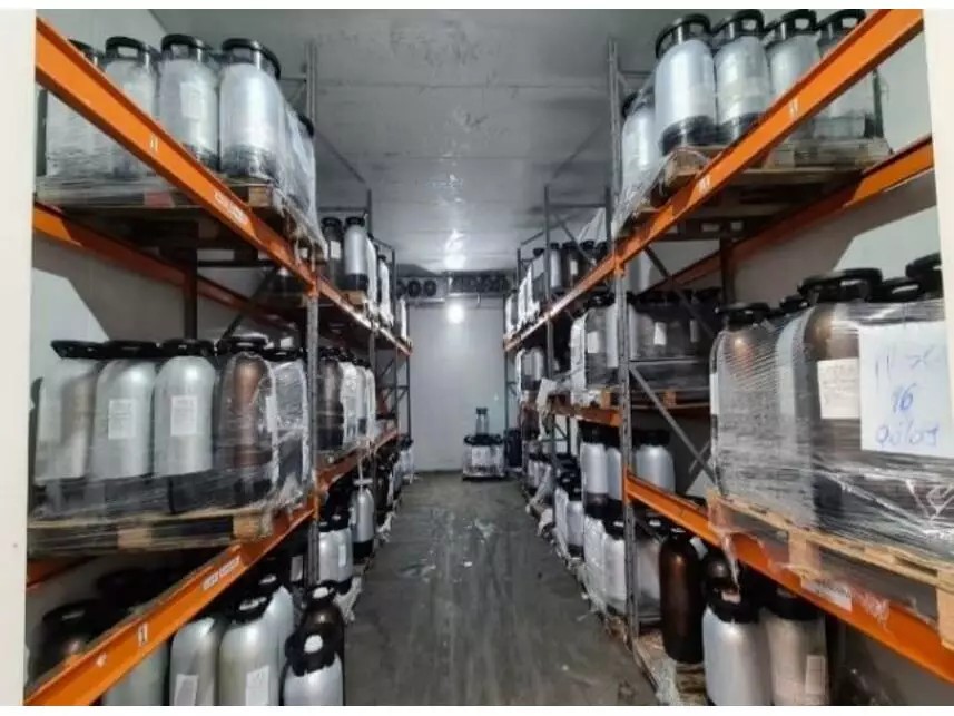 Imagem 38 - Rodovia Municipal Maximiliano Gaidzinski, s/nº - Esquina Avenida 25 de Julho, Lotes 01 e 02, Quadra C - Loteamento Núcleo Industrial Vi - Forquilhinha / SC