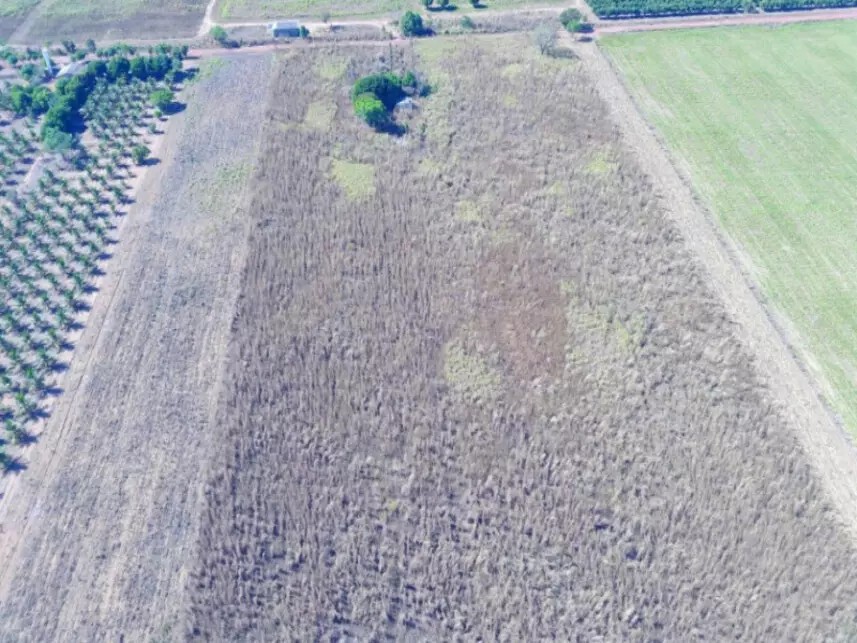 Imagem 2 - Rodovia To-050, 309 - Polo de Fruticultura Irrigada São João - Porto Nacional / TO