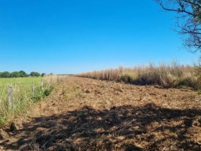 Imagem 4 - Rodovia To-050, 309 - Polo de Fruticultura Irrigada São João - Porto Nacional / TO