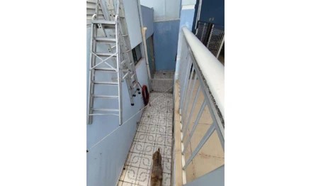 Imagem 7 - Rua 04, Núcleo Habitacional Nova Cuiabá, Distrito desta Capital