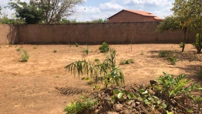 Imagem 48 - Rua 15 De Novembro, s/n, Centro, Sambaíba, MA