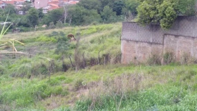Imagem 4 - Rua Almeirindo Cosenza, 10, Jardim Residencial Regina Bastelli, Limeira, SP