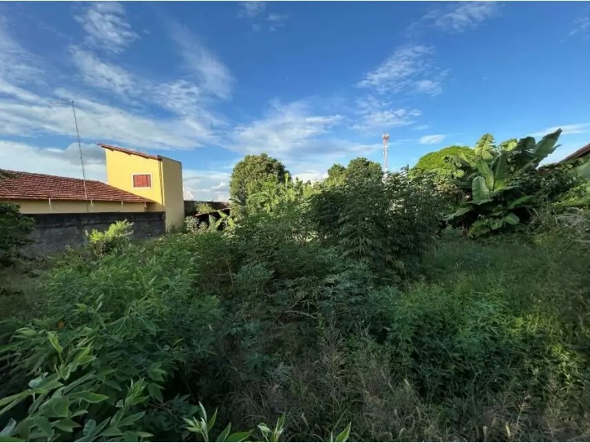 Imagem 2 - Rua Antonio Paulo Miranda, s/n - Quadra 7 - Primitivo Acima/Linha Fepasa - Colina / SP