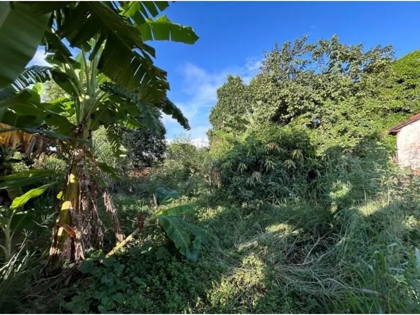 Imagem 3 - Rua Antonio Paulo Miranda, s/n - Quadra 7 - Primitivo Acima/Linha Fepasa - Colina / SP