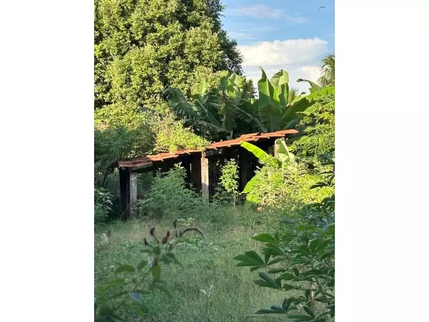 Imagem 6 - Rua Antonio Paulo Miranda, s/n - Quadra 7 - Primitivo Acima/Linha Fepasa - Colina / SP