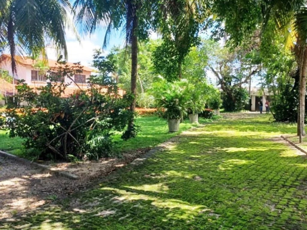 Imagem 8 - Rua Augusto Calheiros, 997, Barroso, Fortaleza, CE