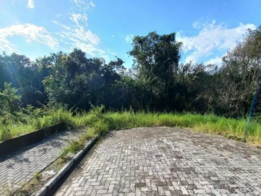 Imagem 3 - Rua Avaí, 13 - Lote 13, Quadra 16 - Centenário - Sapiranga / RS