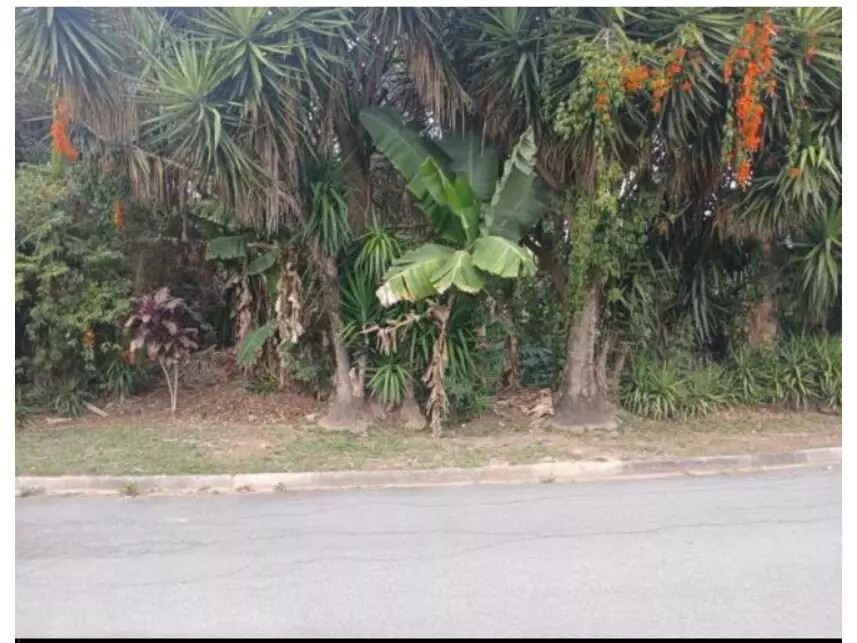 Imagem 2 - Rua Campo das Princesas, s/n - Moinho Velho - Cotia / SP