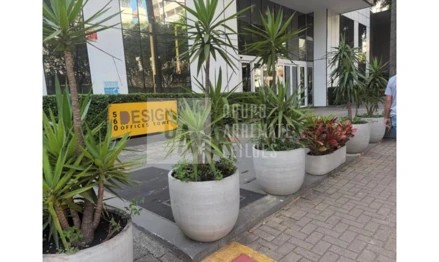 Imagem 2 - Rua Doutor Antônio Bento, 560 - Santo Amaro São Paulo - SP