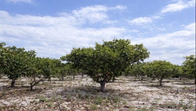 Imagem 2 - Rua E Loteamento El Dourado, s/n, Tiririca, Pacajus, CE