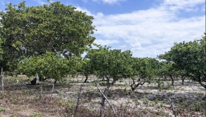 Imagem 3 - Rua E Loteamento El Dourado, s/n, Tiririca, Pacajus, CE