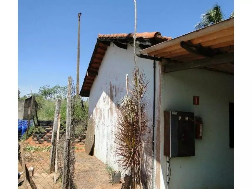 Imagem 44 - Rua Fernando Cachefo, s/n - Centro - Anhumas / SP