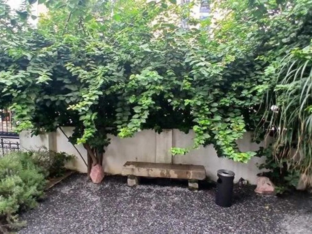 Imagem 14 - Rua Fradique Coutinho, 297, Pinheiros, São Paulo, SP