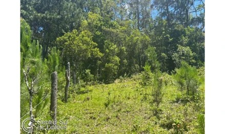 Imagem 2 - Rua Frederico Manoel da Rosa, s/n