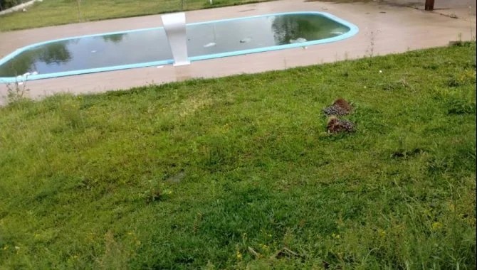 Imagem 37 - Rua Guerino Sasso, 2108, Vila Barragem Sanchuri, Sao Marcos, Uruguaiana, RS