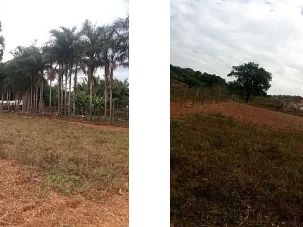 Imagem 3 - Rua Ipameri, Lts. 11 e 12 da Qd. 20, Setor Nordeste, Ipameri, GO