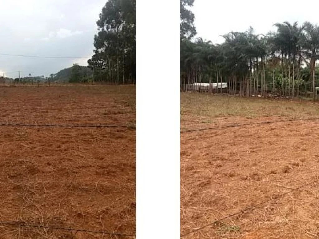 Imagem 4 - Rua Ipameri, Lts. 11 e 12 da Qd. 20, Setor Nordeste, Ipameri, GO