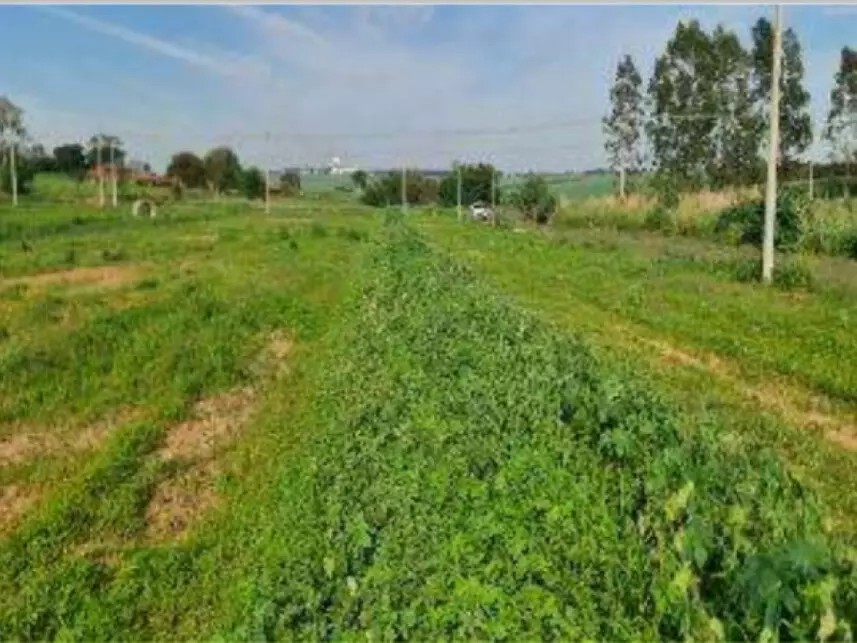 Imagem 2 - Rua José Pereira, 06 - Lote 06 da Quadra AQ - Eco Park Cantoni - Guaiçara / SP