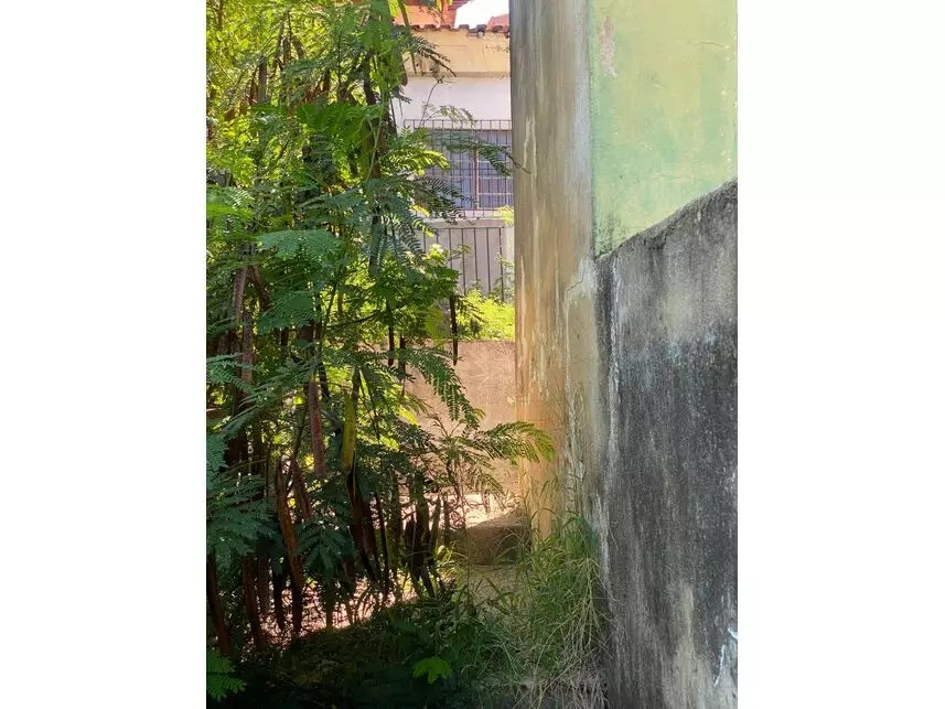 Imagem 14 - Rua João Antônio da Silva, 87 - Parque Brasília - Campinas / SP