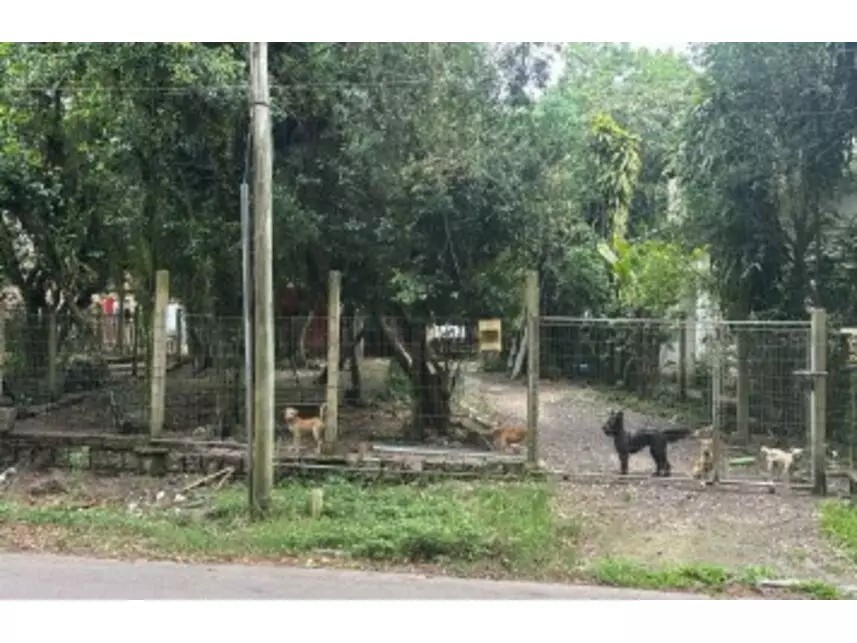 Imagem da oportunidade