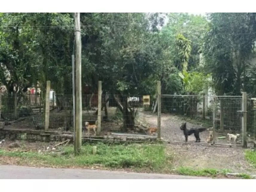 Imagem 3 - Rua Rui Barbosa, 1473 - Alegria - Guaíba / RS