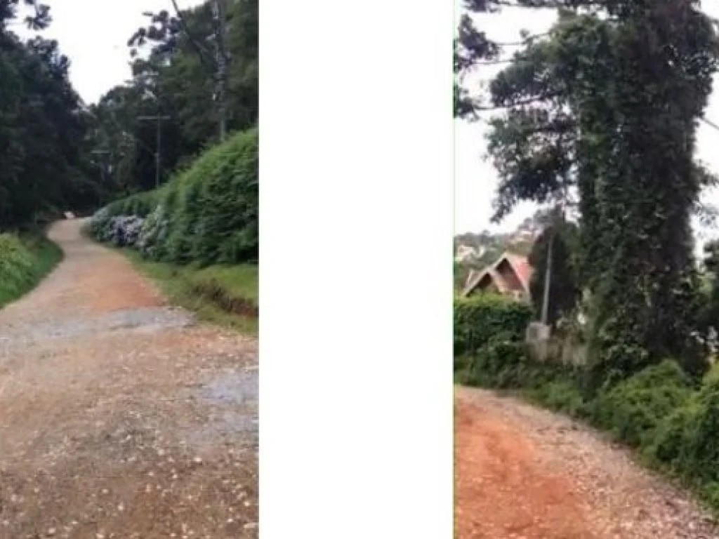 Imagem 2 - Rua Safira, Lts. 24, 25 e 26, Jardim das Pérolas, Campos do Jordão, SP