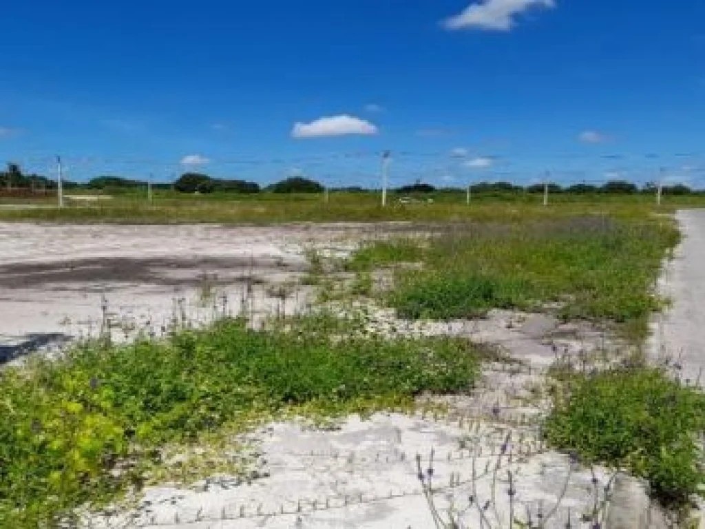 Imagem 2 - Rua Santa Eugenia Amarelas, Lts. 01 ao 36 da Qd. 39, Santa Eugenia, Beberibe, CE