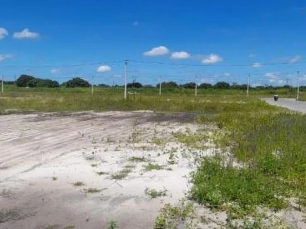 Imagem 3 - Rua Santa Eugenia Amarelas, Lts. 01 ao 36 da Qd. 39, Santa Eugenia, Beberibe, CE