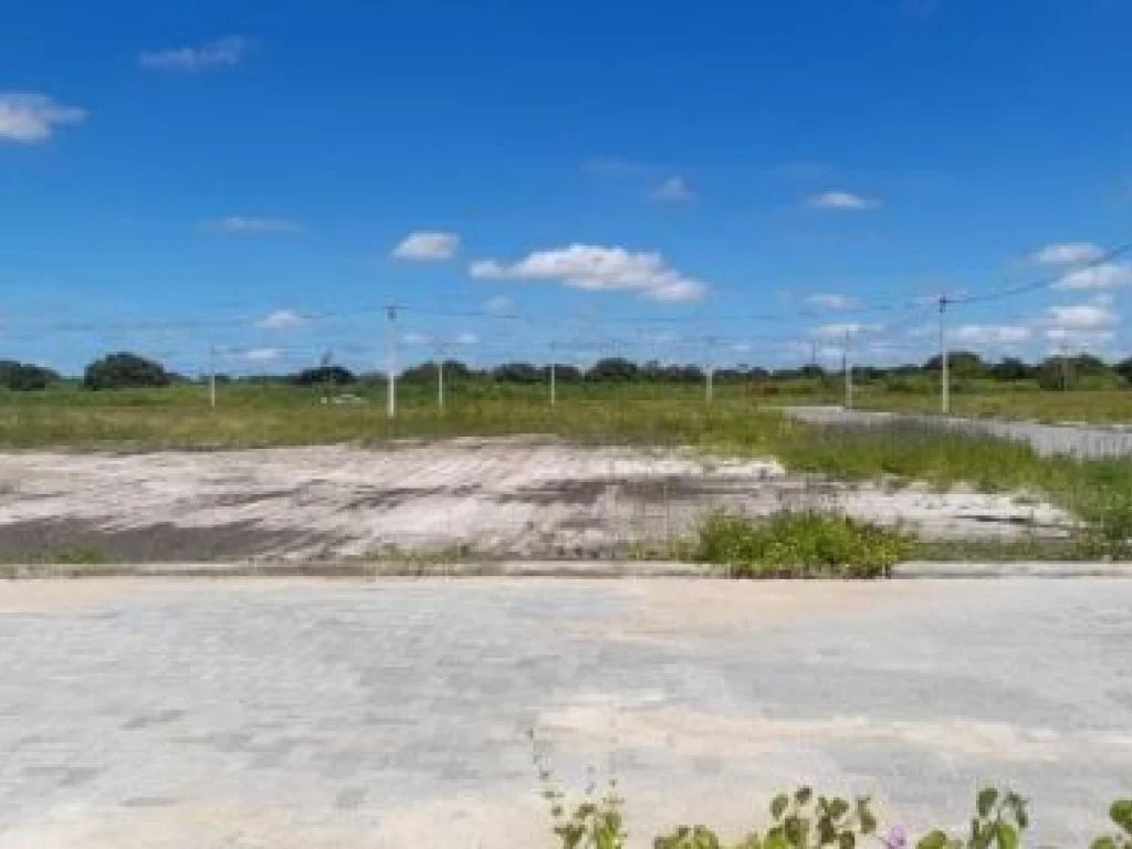 Imagem 7 - Rua Santa Eugenia Amarelas, Lts. 01 ao 36 da Qd. 39, Santa Eugenia, Beberibe, CE