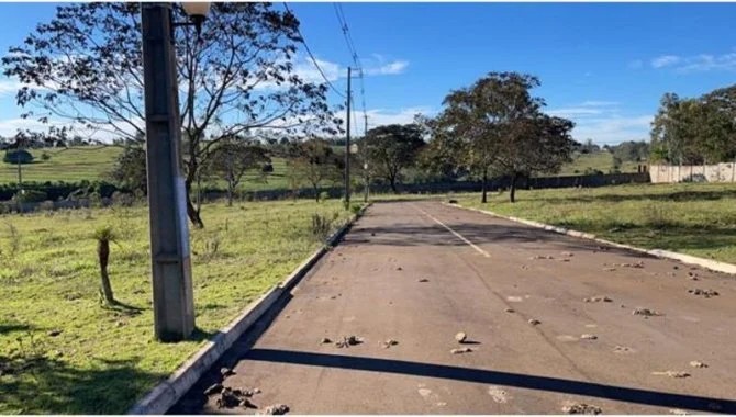 Imagem 37 - Rua São Paulo, 137, Lote 02 Da Qudra 05, Parque Residencial Viva, Pérola, PR
