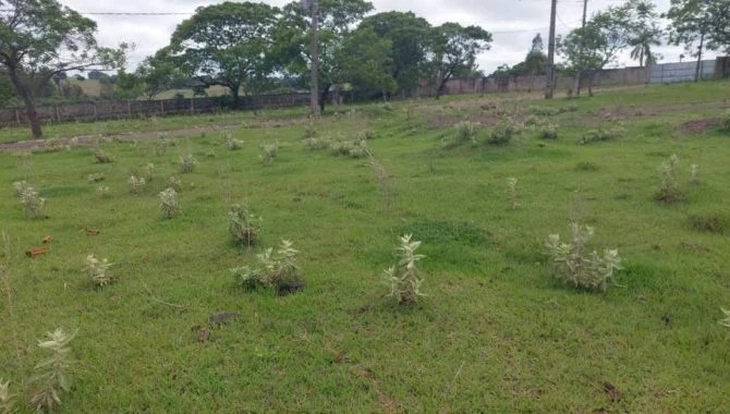 Imagem 53 - Rua São Paulo, 137, Parque Residencial Viva, Pérola, PR