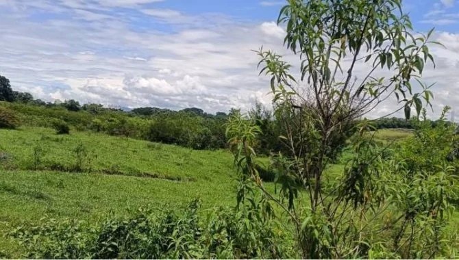 Imagem 7 - Rua Voluntário Benedito Sérgio, 02701 E, Parque São Cristóvão, Taubaté, SP