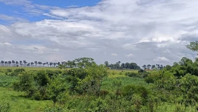 Imagem 8 - Rua Voluntário Benedito Sérgio, 02701 E, Parque São Cristóvão, Taubaté, SP