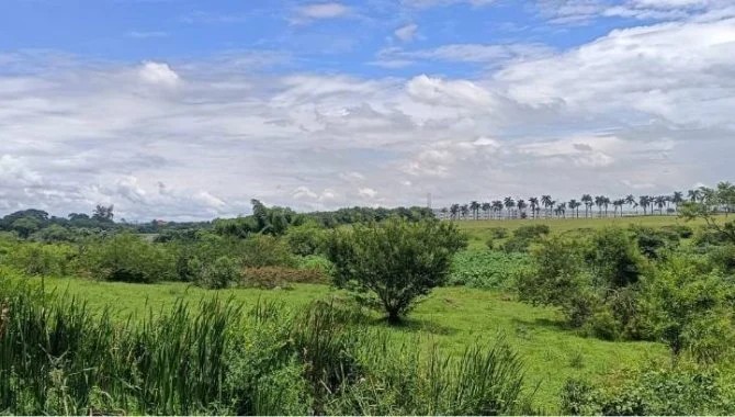 Imagem 9 - Rua Voluntário Benedito Sérgio, 02701 E, Parque São Cristóvão, Taubaté, SP