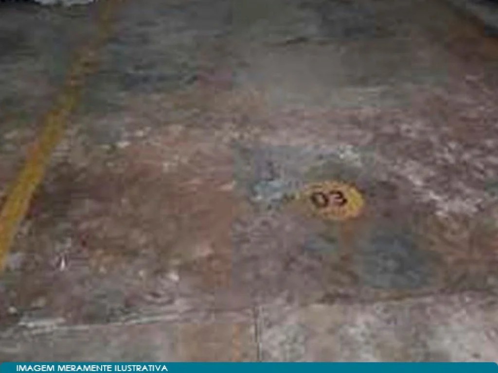 Imagem 7 - Rua Álvaro Ribeiro, 15, Ponte Preta, Campinas, SP