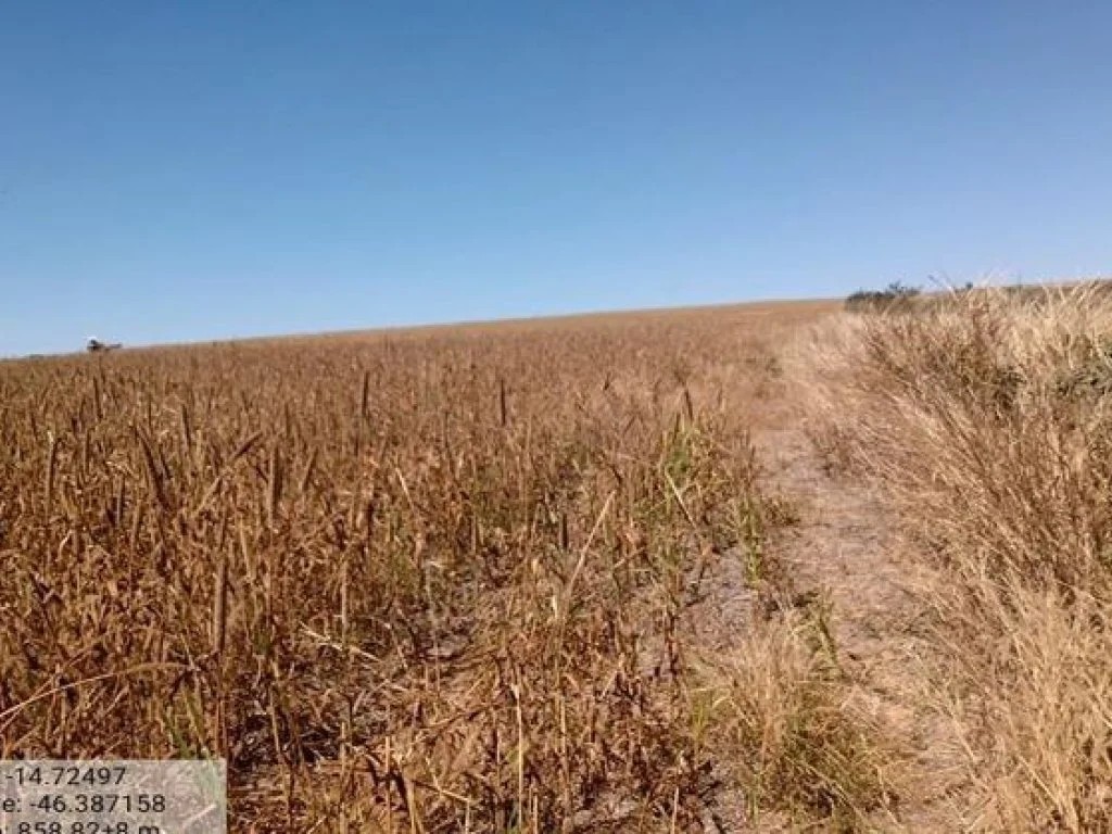 Imagem da oportunidade