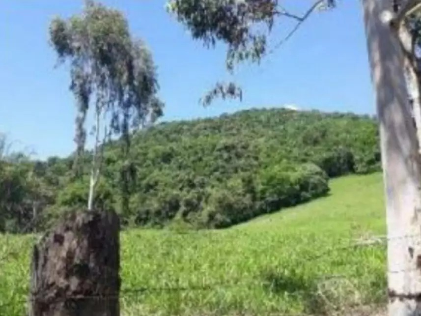 Imagem 2 - Sítio Santa Tereza Ii, s/nº - Firminada - Monte Sião / MG