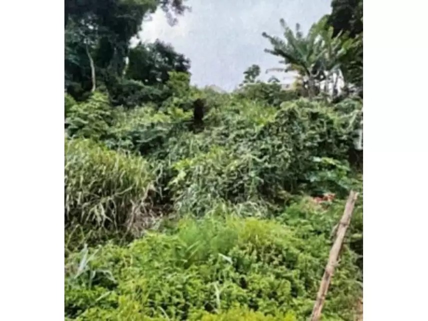 Imagem 2 - Travessa Panamá, S/n - Lote 20 Quadra A-2 - Parque Hortênsia - Bom Jesus dos Perdões / SP