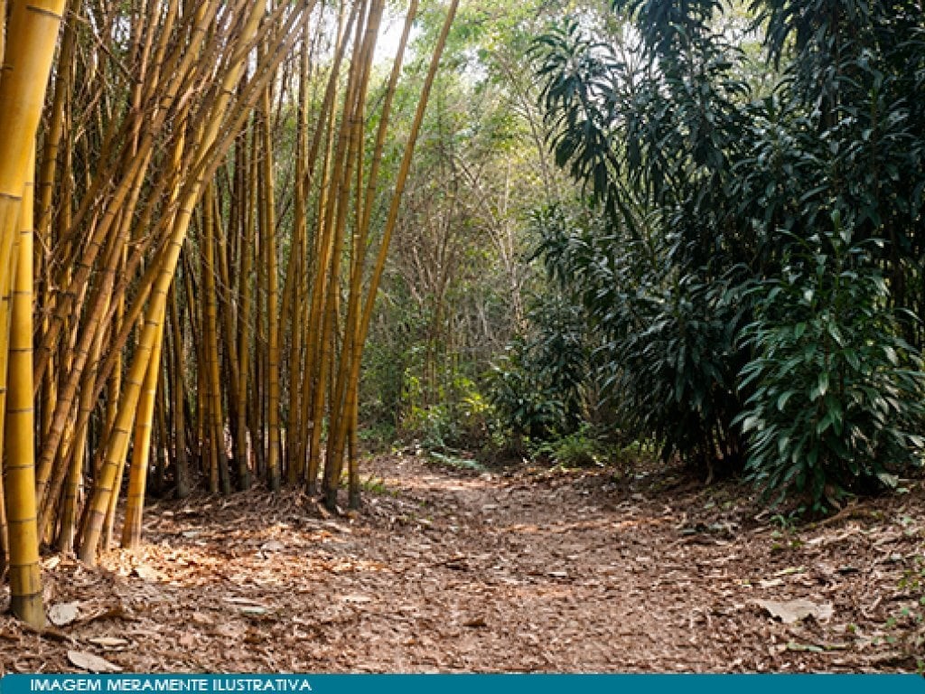 Imagem 11 - Estrada Doutor Bezerra de Menezes, 900, Torrão de Ouro II, São José dos Campos, SP
